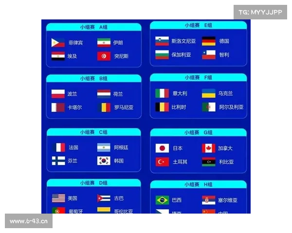 赛事组是什么意思